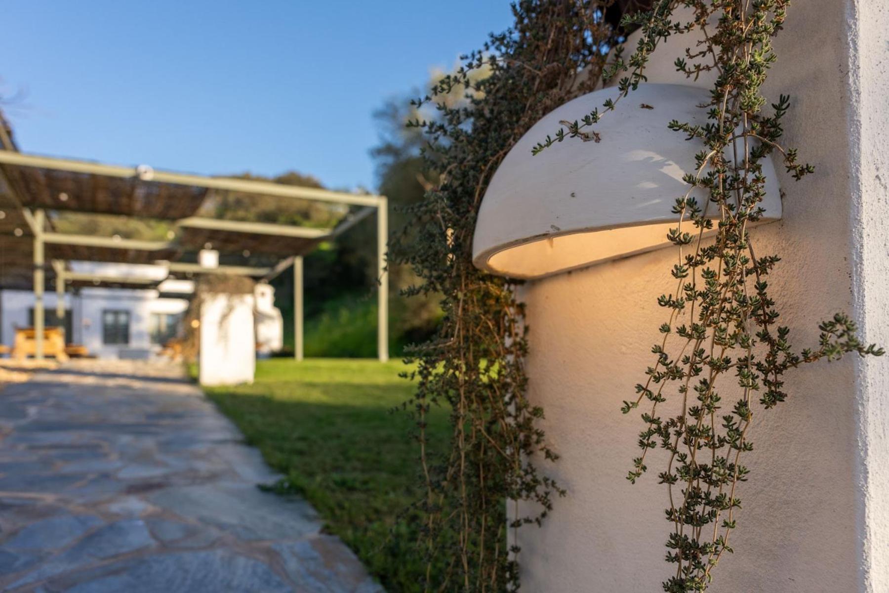 Apartamentos, Finca Contrabando Sanlucar Del Guadiana, Huelva Sanlúcar de Guadiana Exteriör bild
